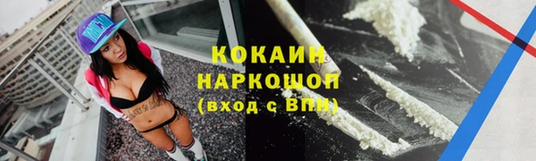 соль ск Алзамай