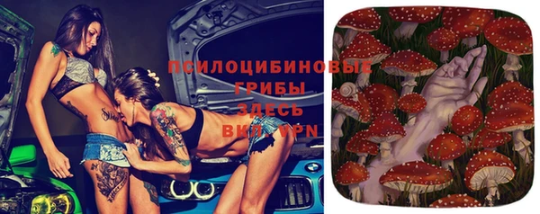 стафф Аркадак